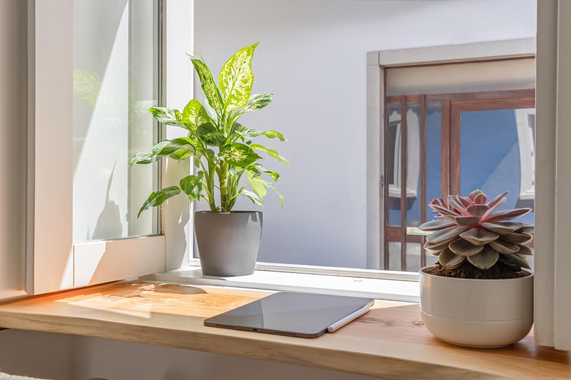 ラゴスCasa Tamarアパートメント エクステリア 写真